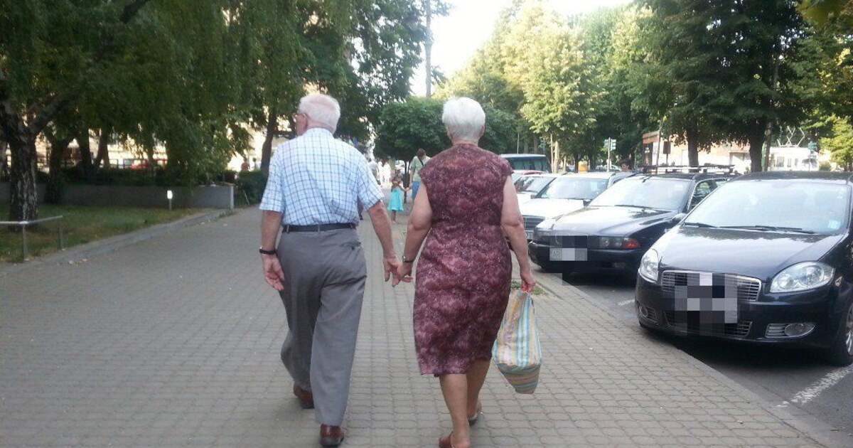 CaÅ£i Pensionari Are Aradul Aradon