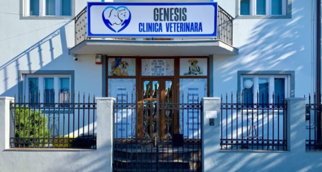 82171167_1014803852251498_223060737130496000_n