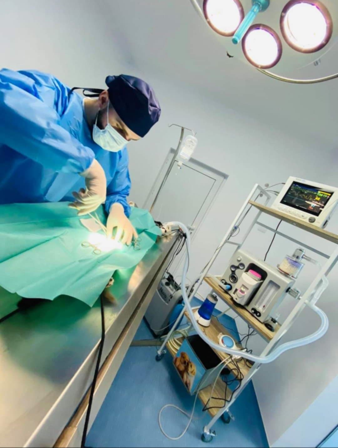 82405711_2459965374320160_8289528541909876736_n