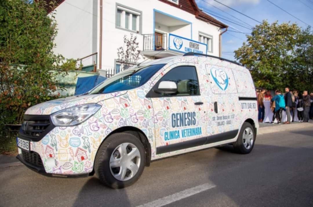 82435361_1499884146845944_2893559934497062912_n