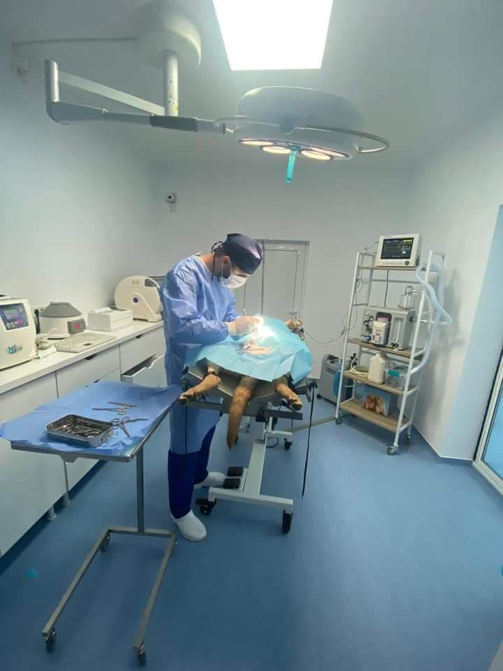 83334991_460632664631912_8565243701188624384_n