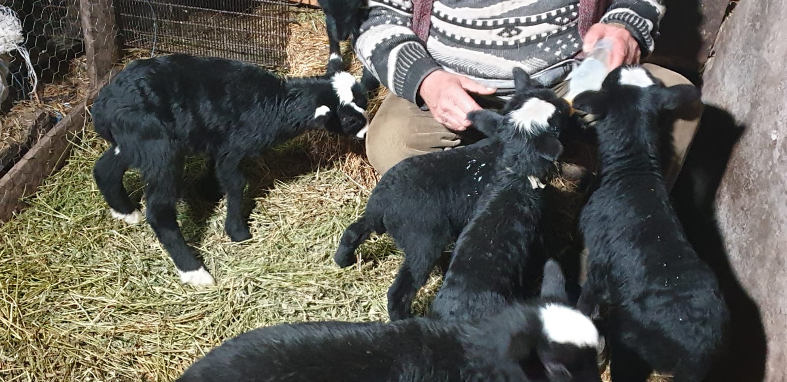 WhatsApp Image 2020-02-10 at 13.54.17