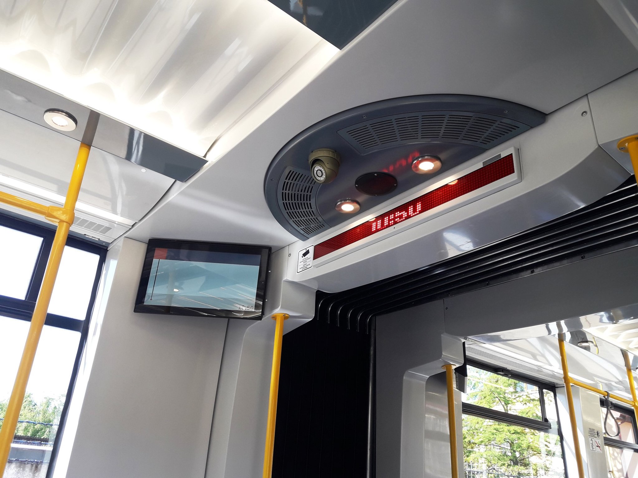 94889599_4002065286500352_8390694602486579200_o