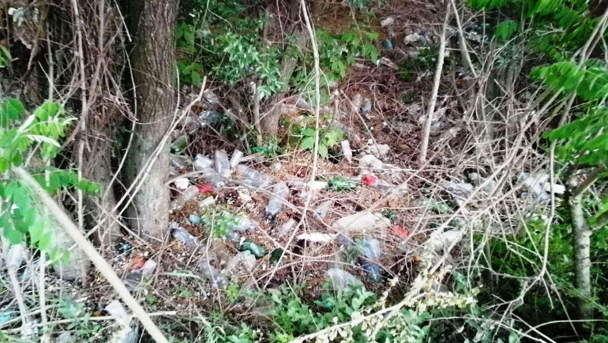 100052107_618568842341240_3836373537359134720_n