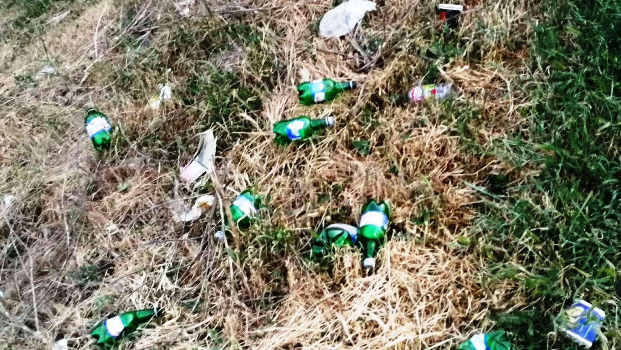 100699801_255317389127179_3401494943154307072_n