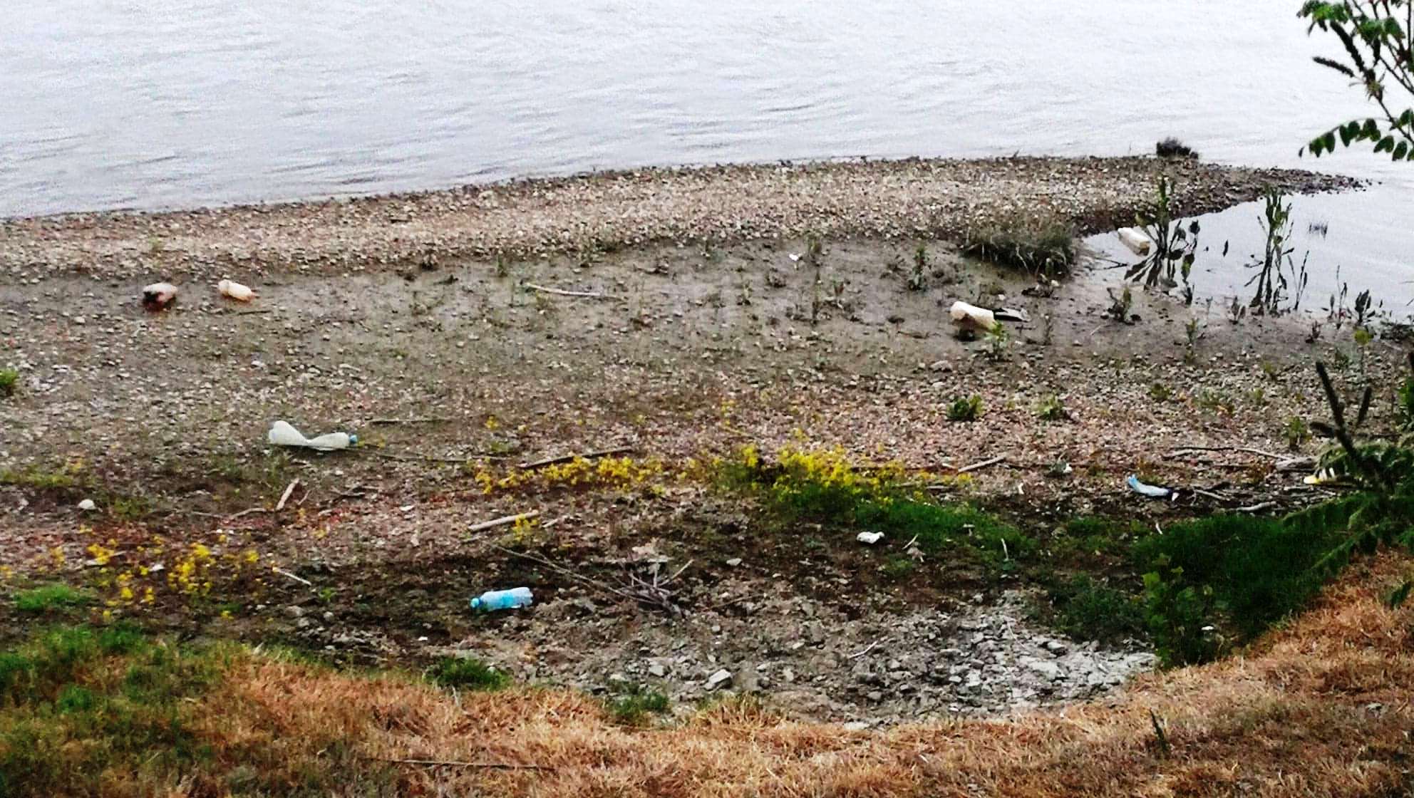 100829344_888813704875791_2722287401920626688_n