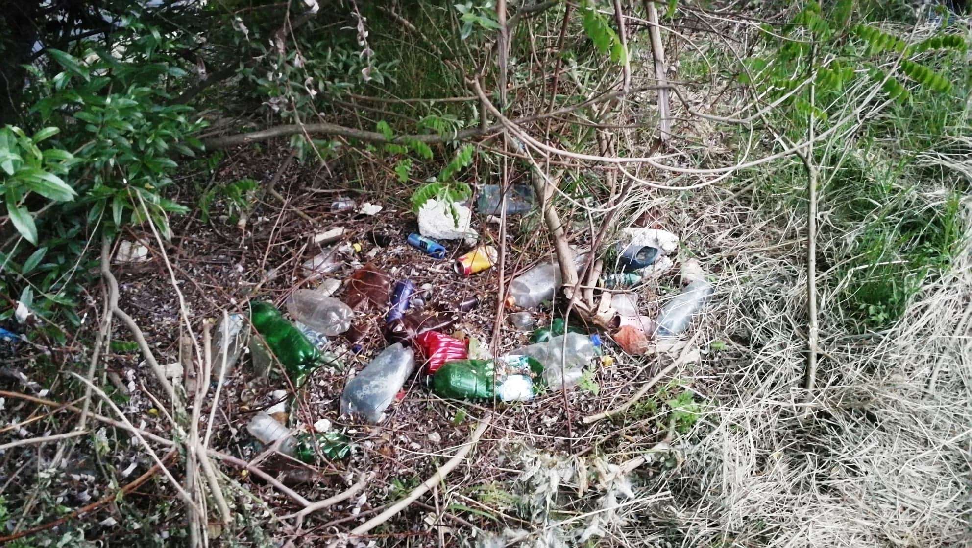 100993123_265922018100256_680059108694425600_n