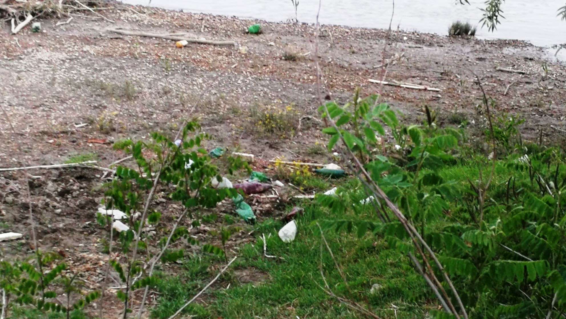 101186557_1496318687206394_5682360381079552000_n