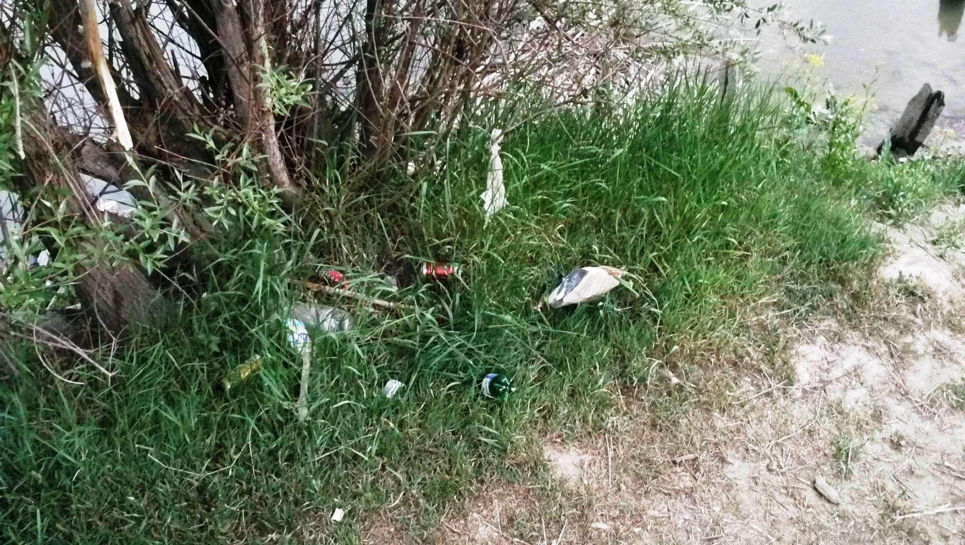 101481325_988889694842351_2953450100933787648_n