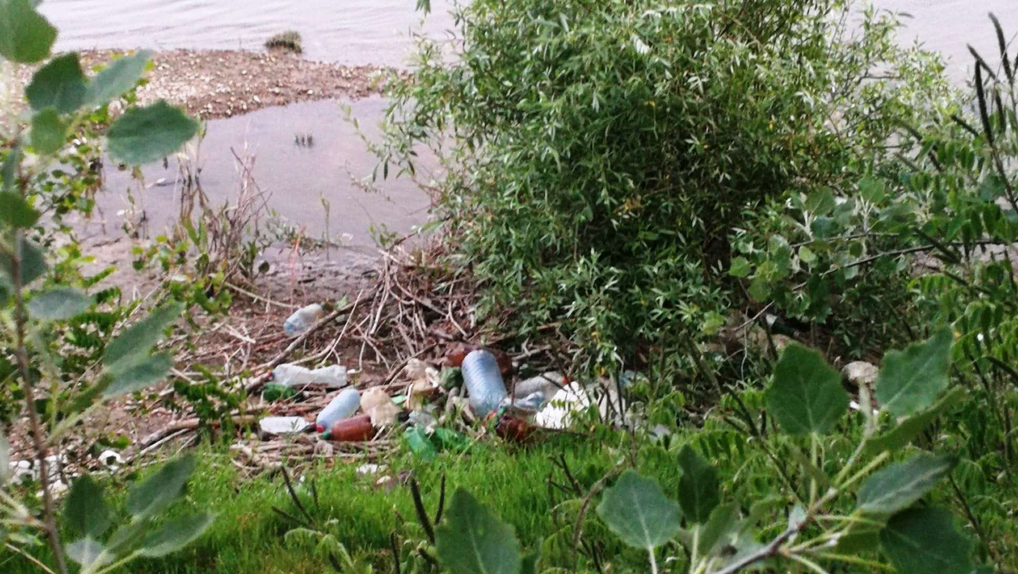 101503615_2419857714970830_4431402781902897152_n