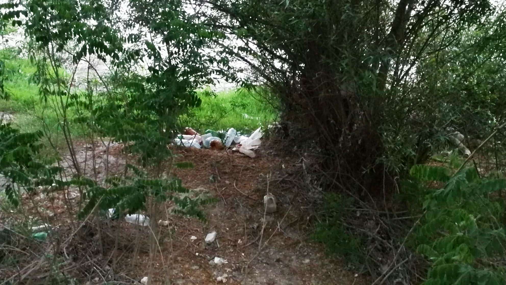 101770230_721789641897690_3066927397501665280_n