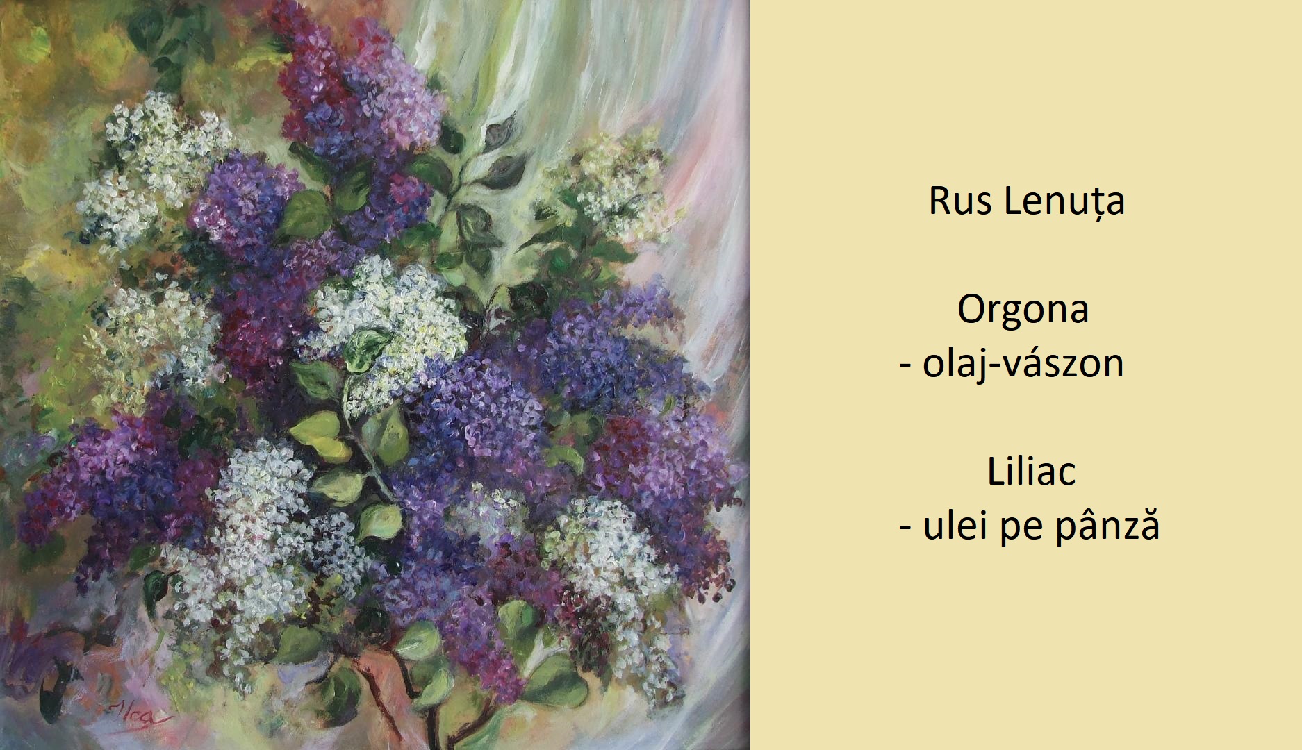 100738888_2526148974154028_4910054853859868672_o