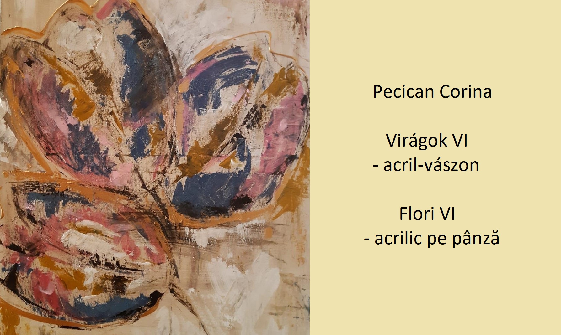 100818041_2526137834155142_1898649898752933888_o