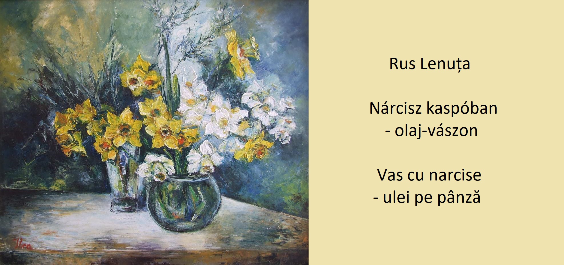 101063687_2526151944153731_8029793955212165120_o