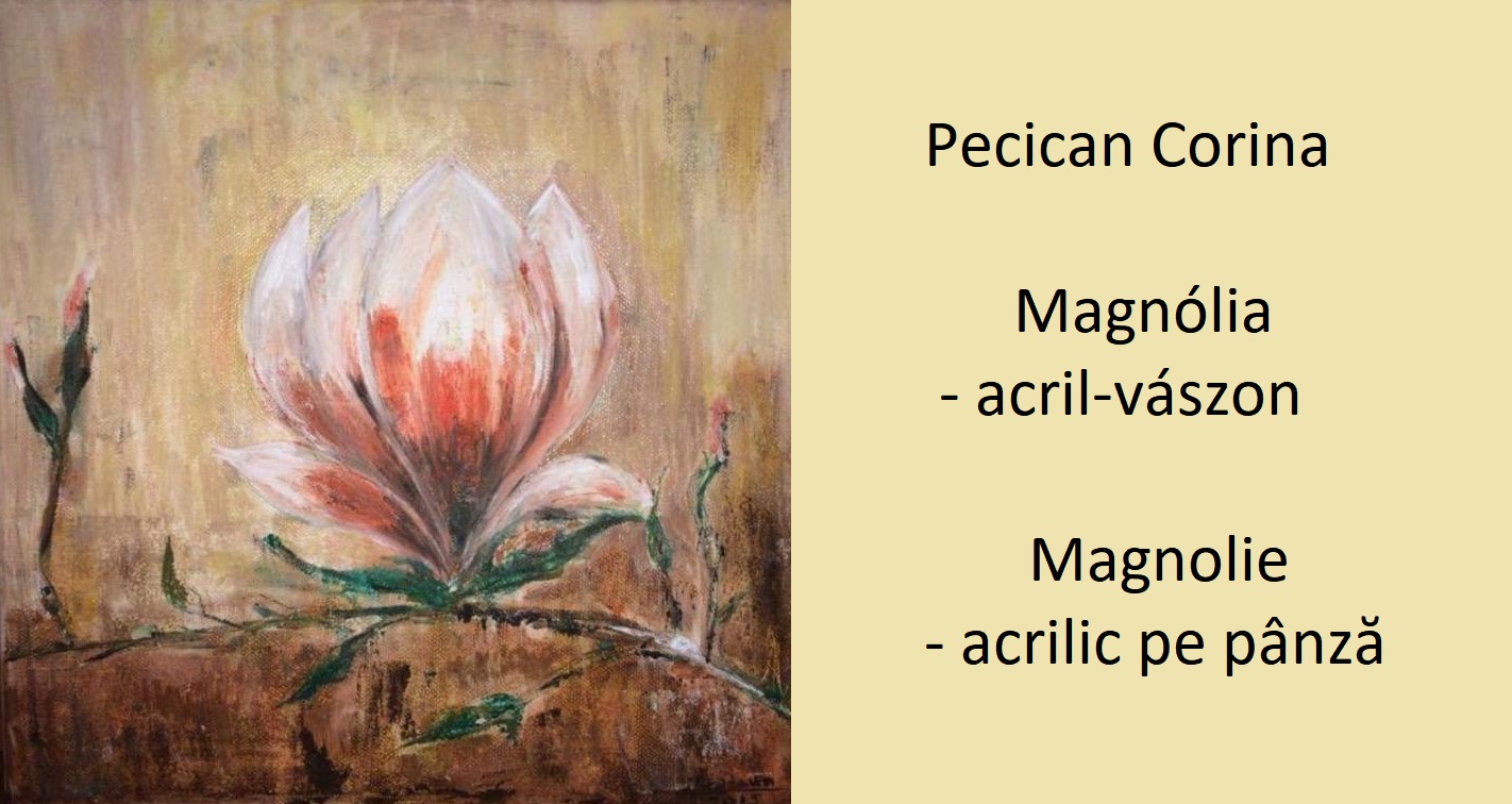 101210712_2526138297488429_8813111276067618816_o