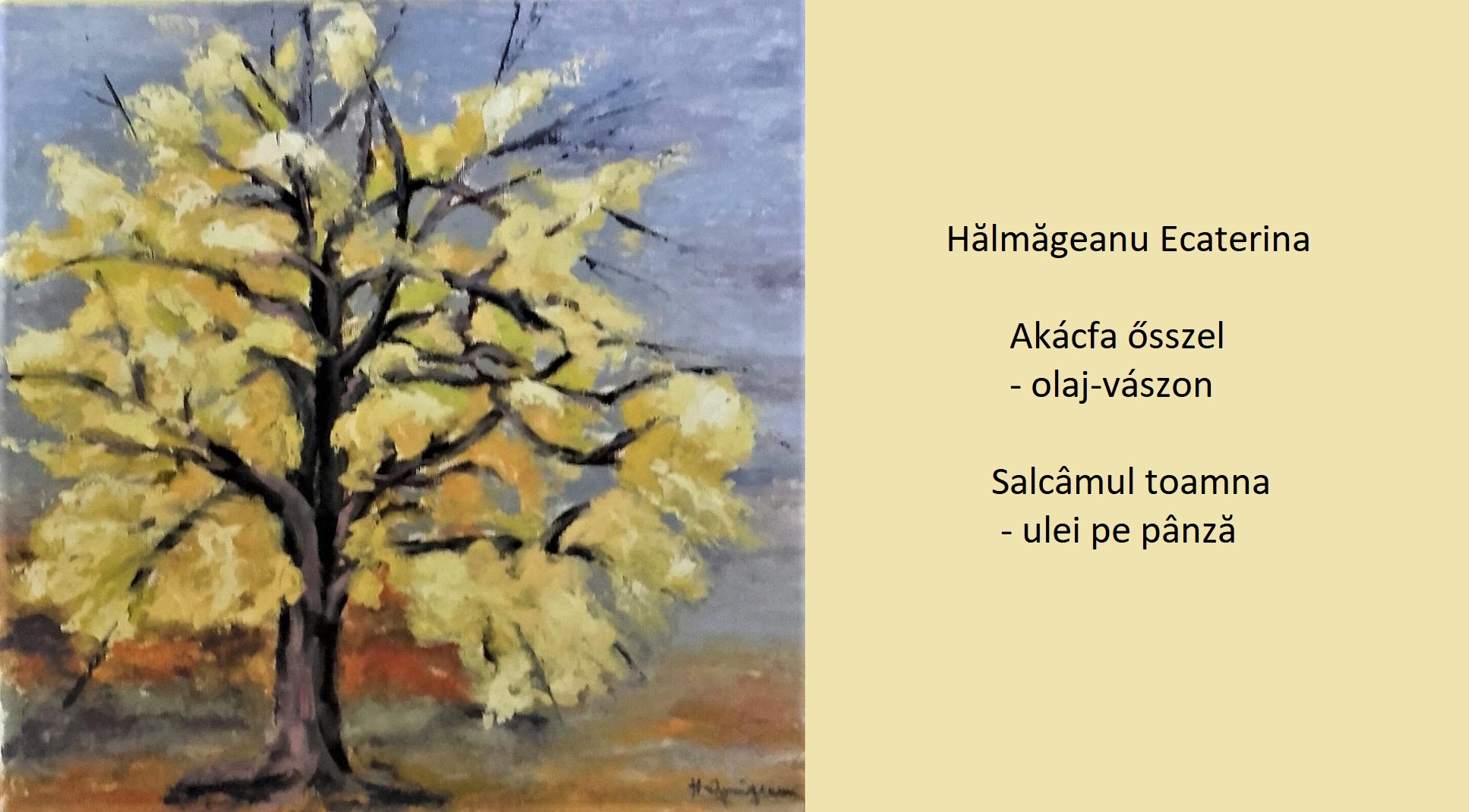 101389108_2526141780821414_6413089456642850816_o