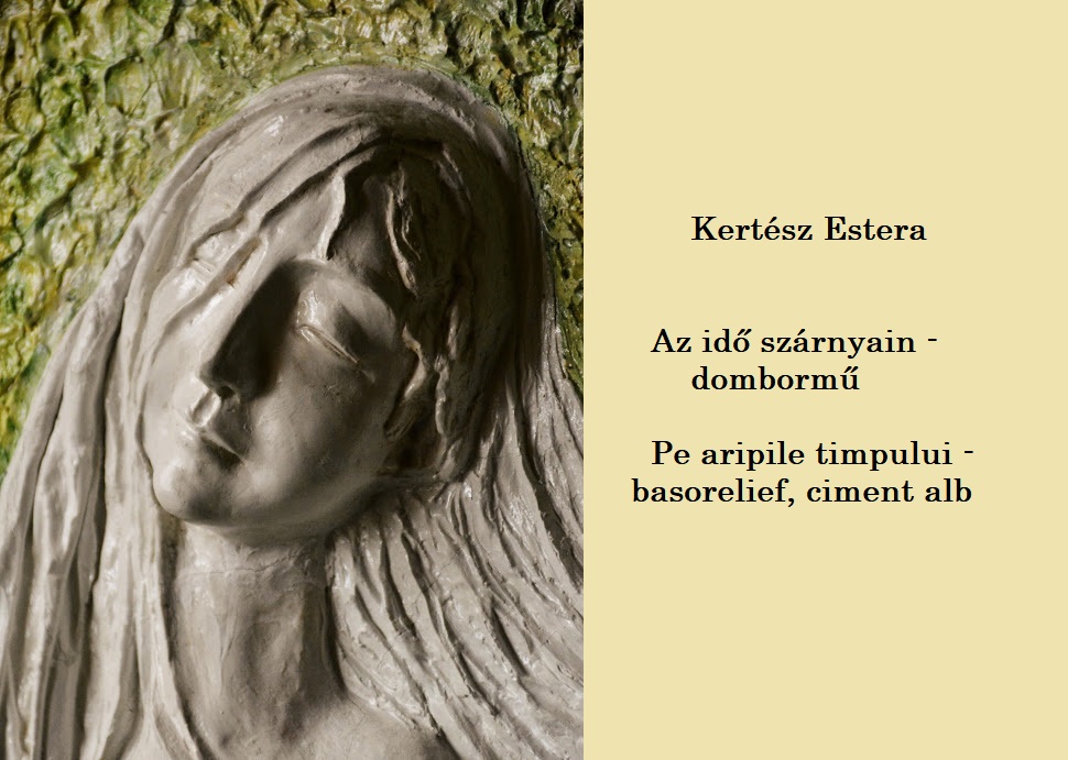 77400041_2526145924154333_4326264950319218688_o