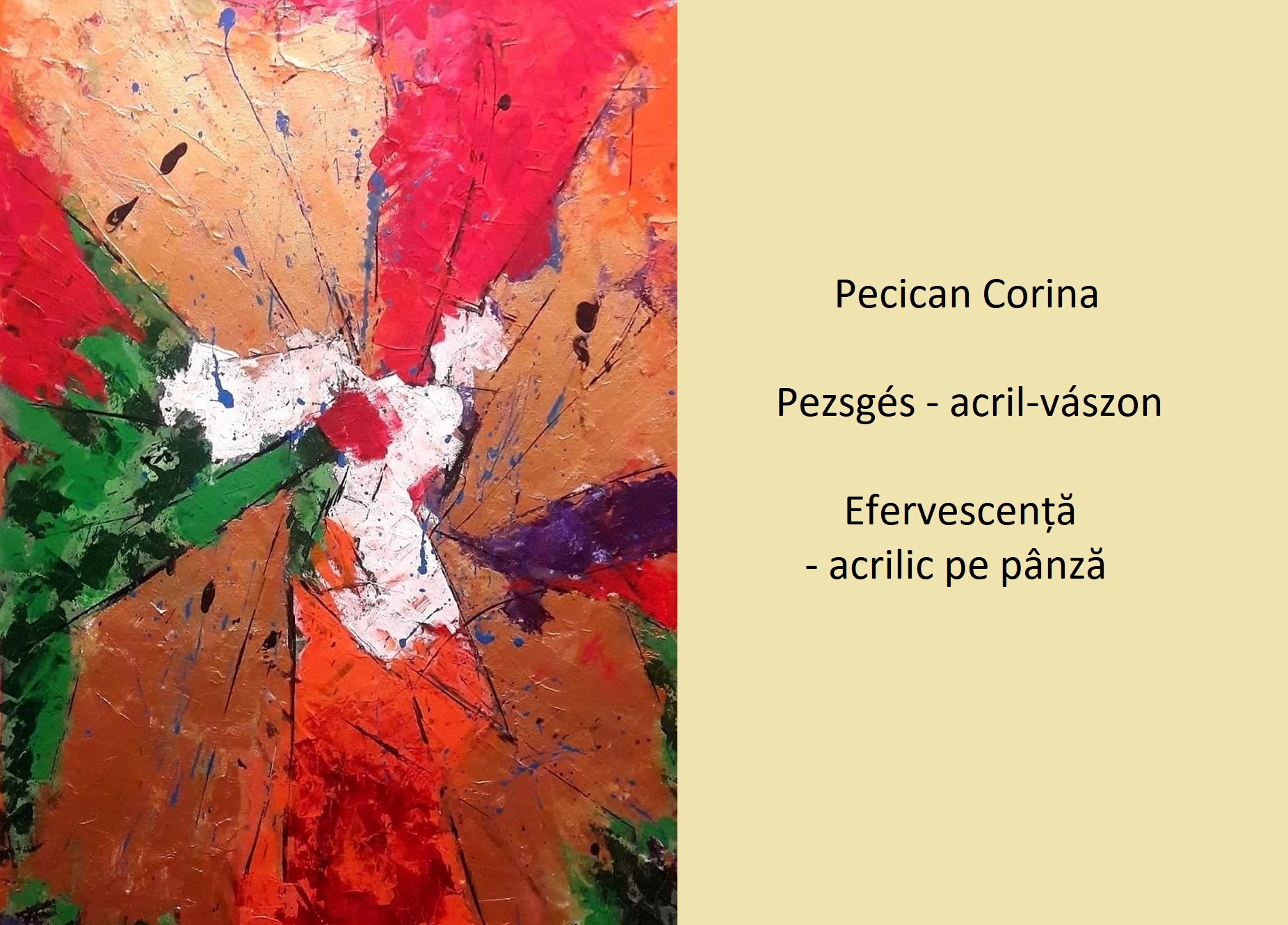 78919913_2526136000821992_8296534372304027648_o