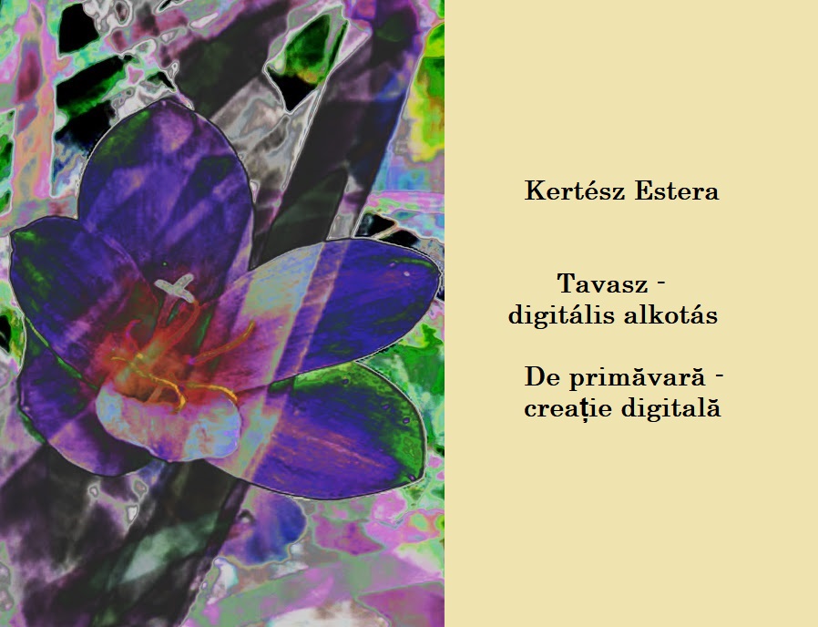 82236919_2526145667487692_6584745366590062592_n