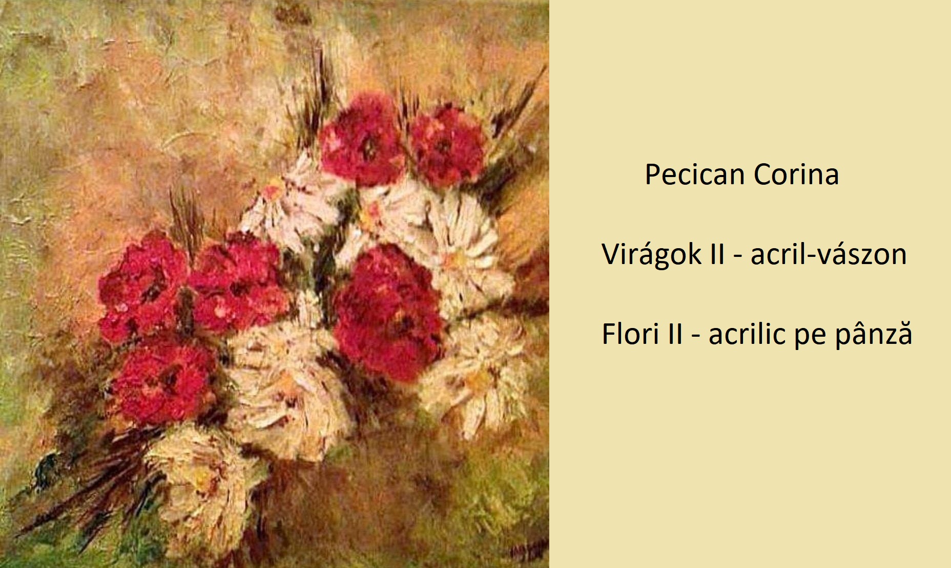 84172724_2526136397488619_1614927941181898752_o