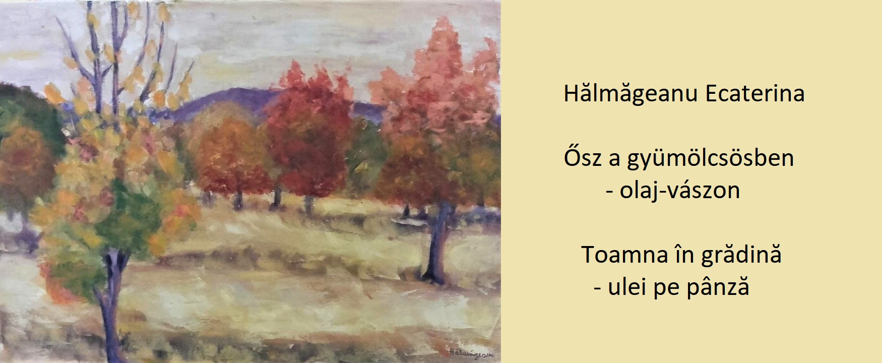 85122854_2526142127488046_1878069416197881856_o