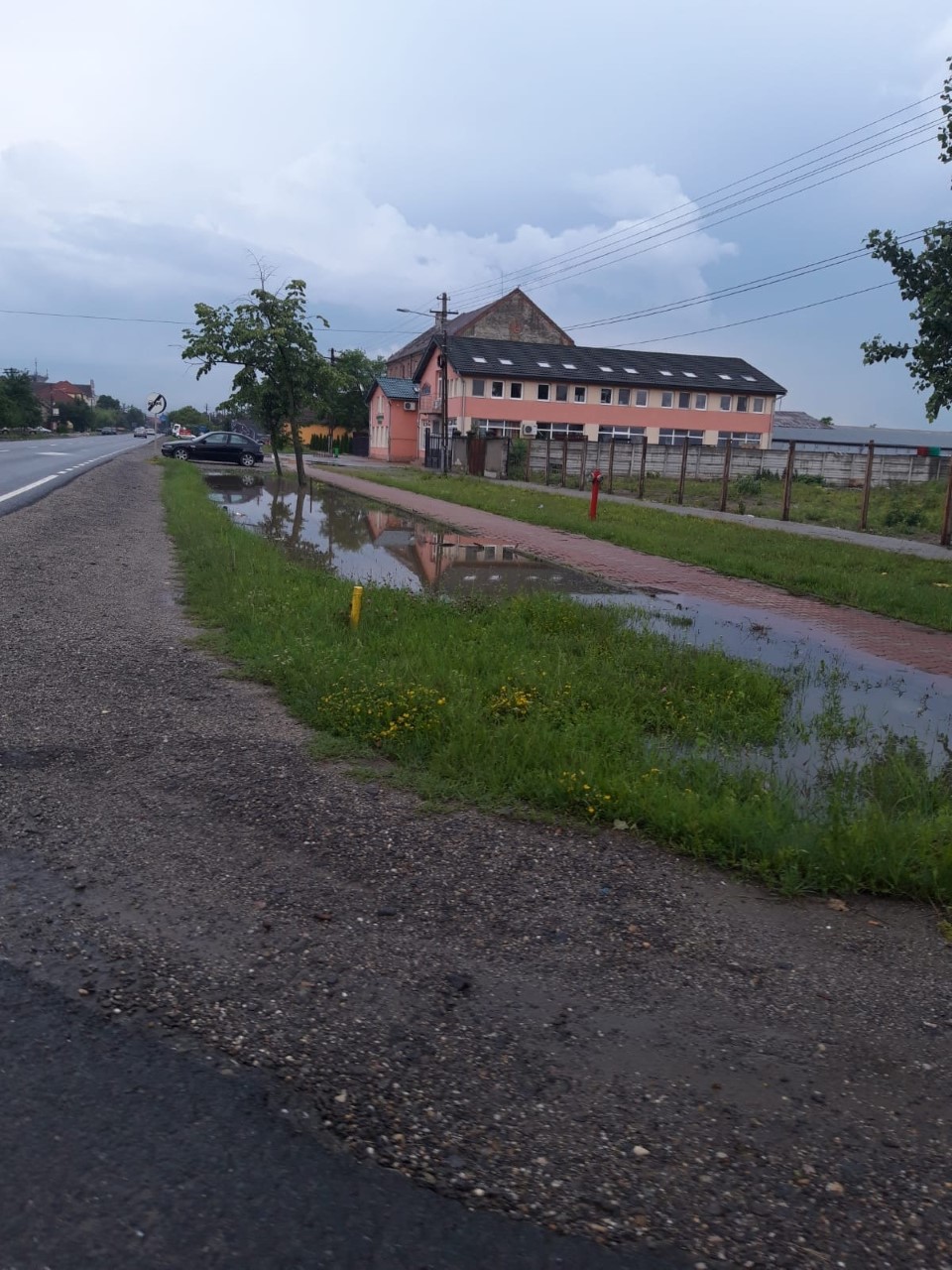 thumbnail_0c1fa27c-784b-4e03-9c3b-9997ef235633