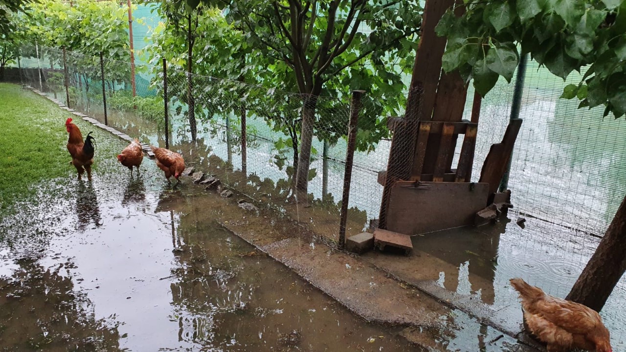 thumbnail_1ae8d6a9-aebd-4adf-b2a9-51126744c5fc