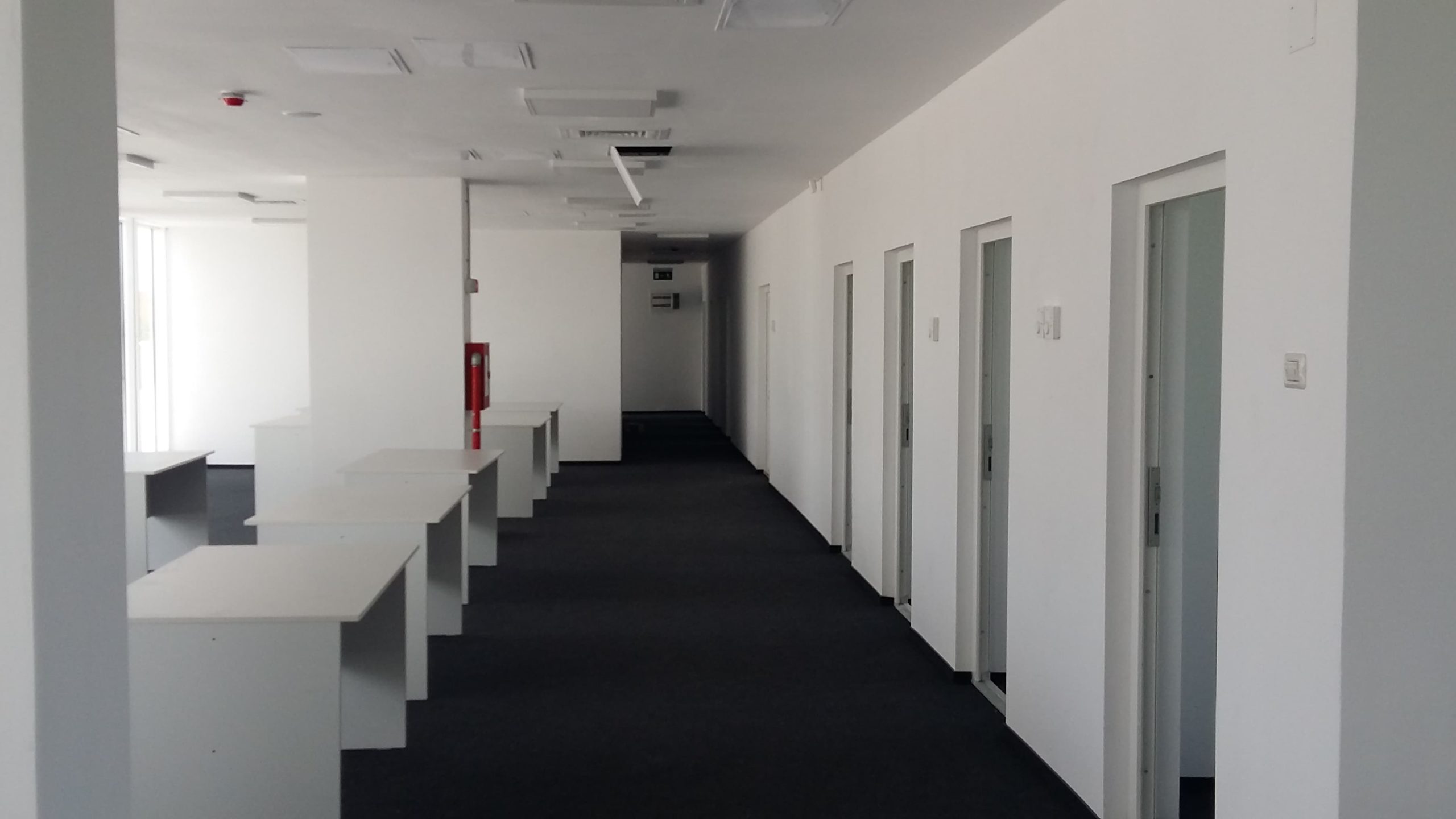 117175567_596725184344259_9089952424617333405_n