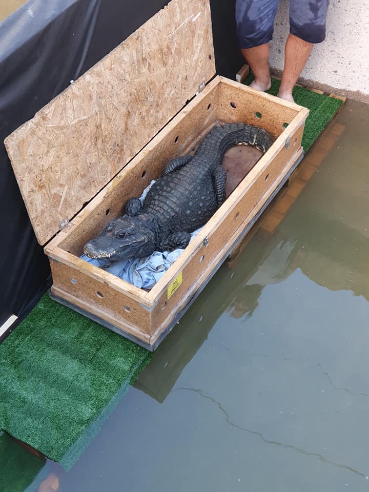 106399470_3017250578310547_1341636826829579649_n