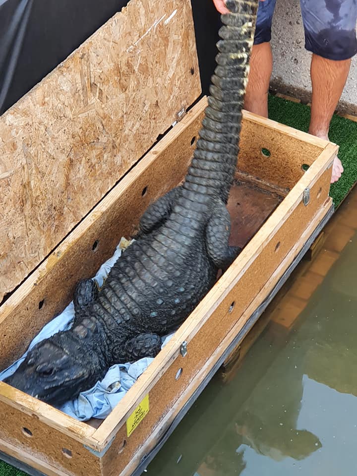 106336728_3017250368310568_4174922290651960842_n