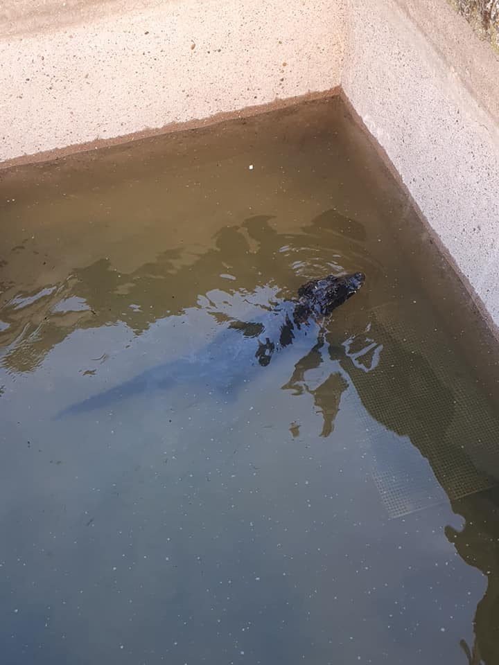 106276654_3017250468310558_6808347136804055552_n