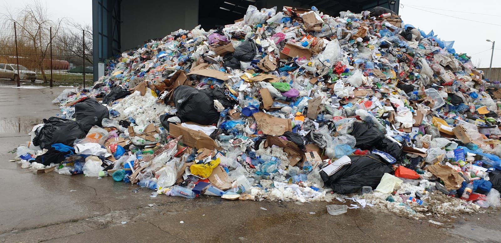 WhatsApp Image 2021-01-20 at 11.53.52