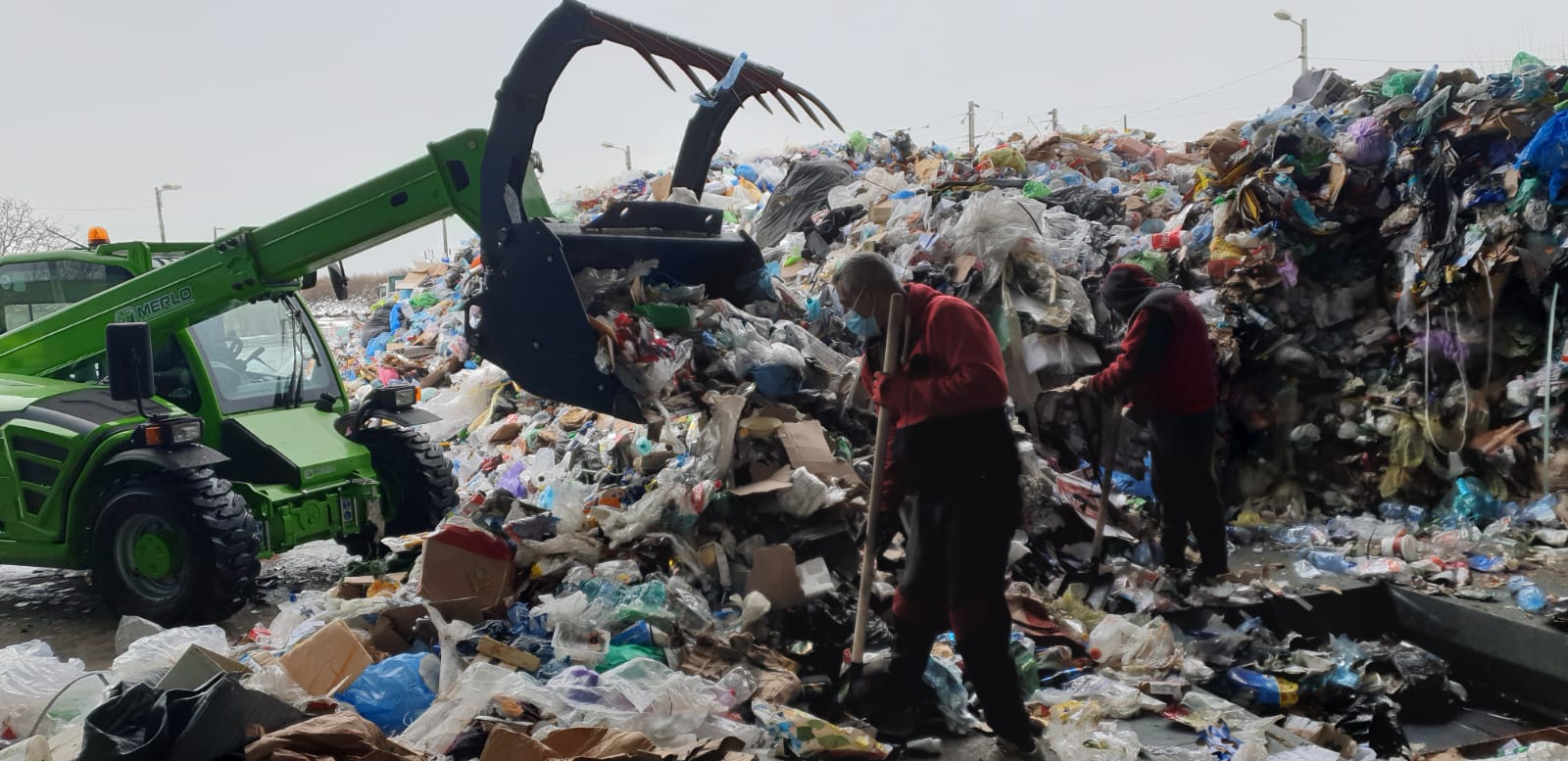 WhatsApp Image 2021-01-20 at 11.53.53