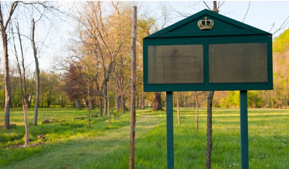 aleea stejarilor batrani