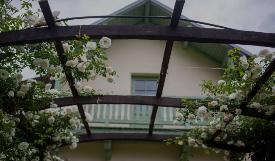 gradina de trandafiri