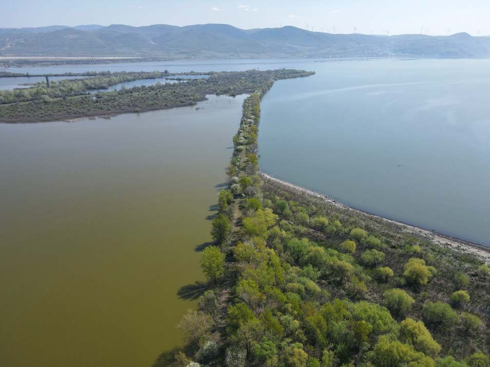 981639417599743144799007020376022670308859978282829n (1)