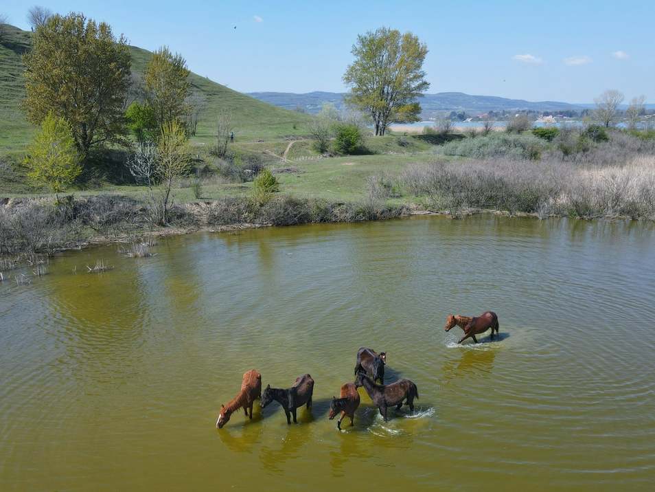 981639717822452544798993853710675788425717623618934n (1)