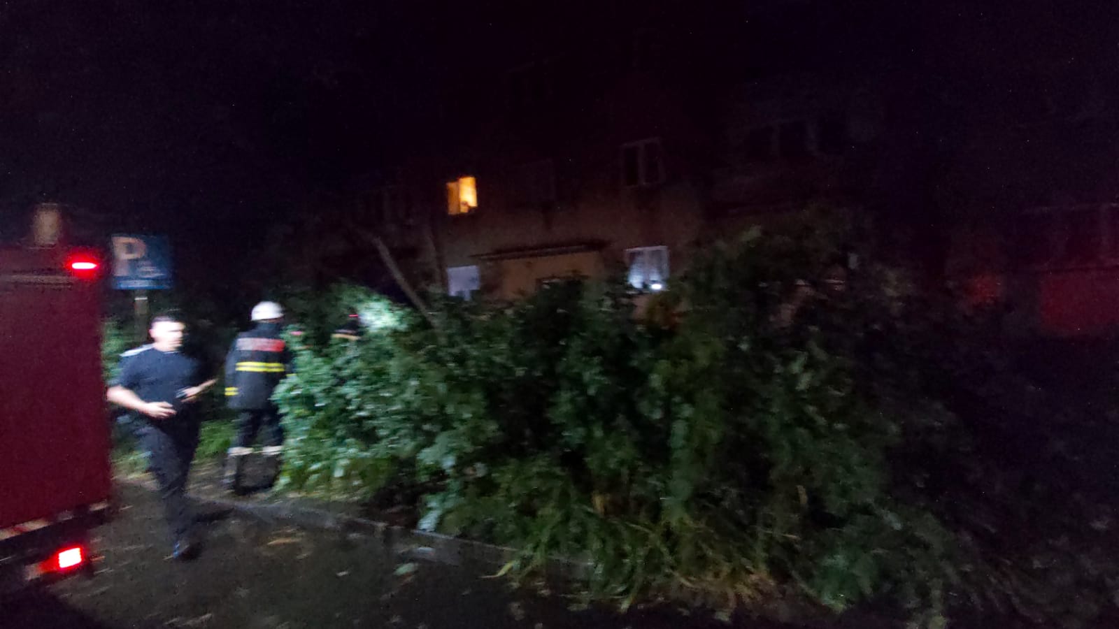 WhatsApp Image 2021-06-26 at 01.11.57