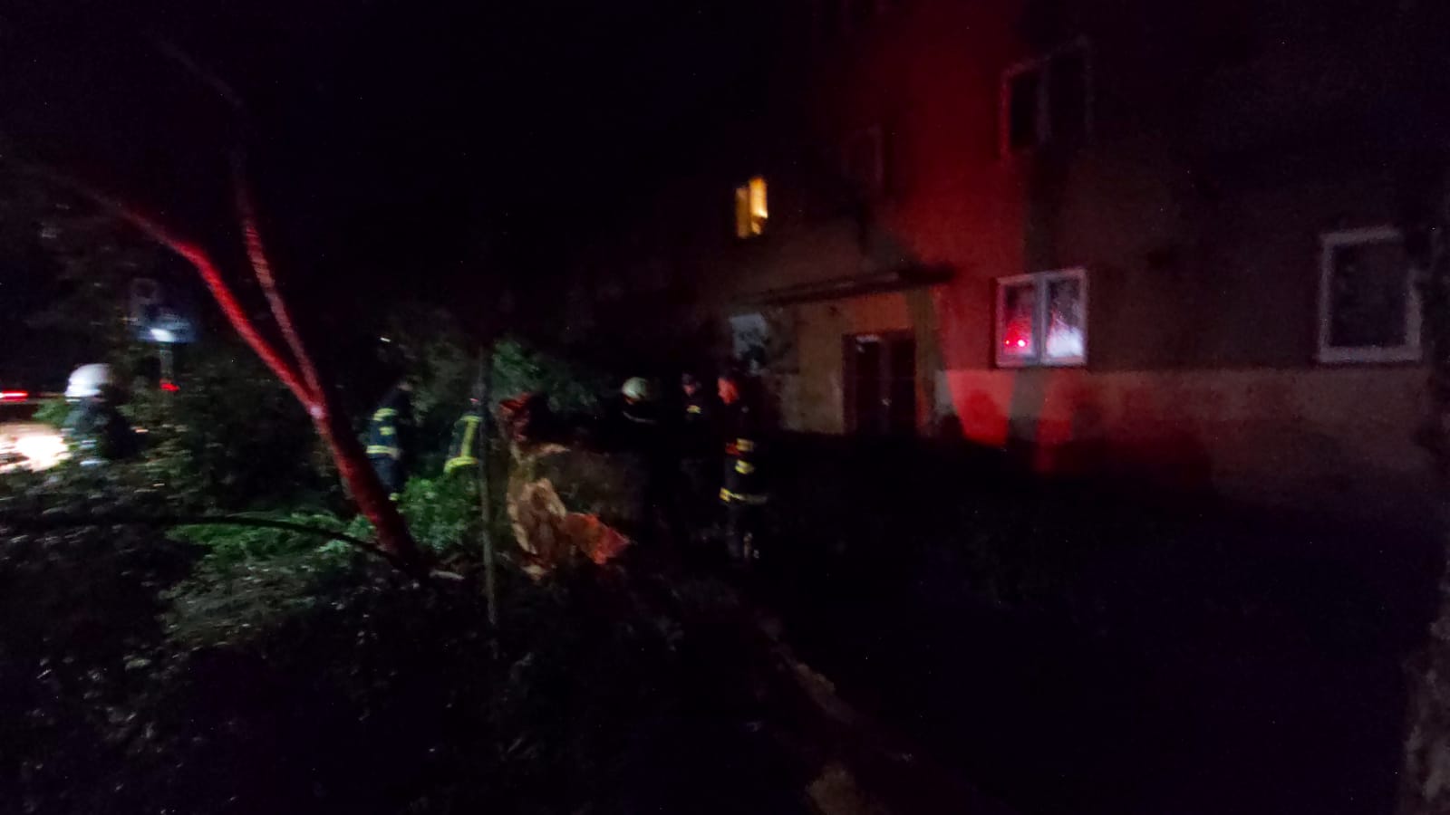 WhatsApp Image 2021-06-26 at 01.11.58 (1)