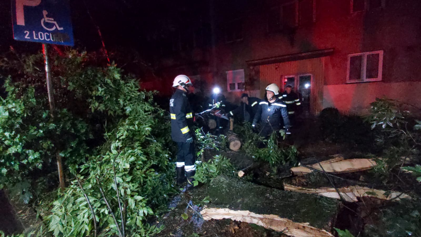 WhatsApp Image 2021-06-26 at 01.11.55