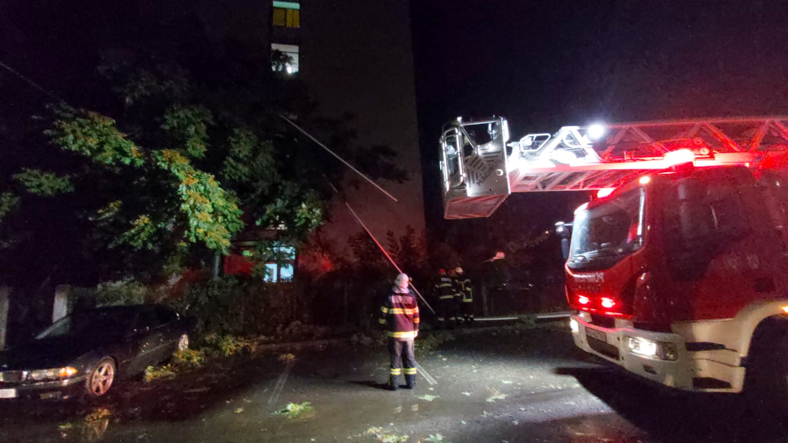 WhatsApp Image 2021-06-26 at 01.10.54