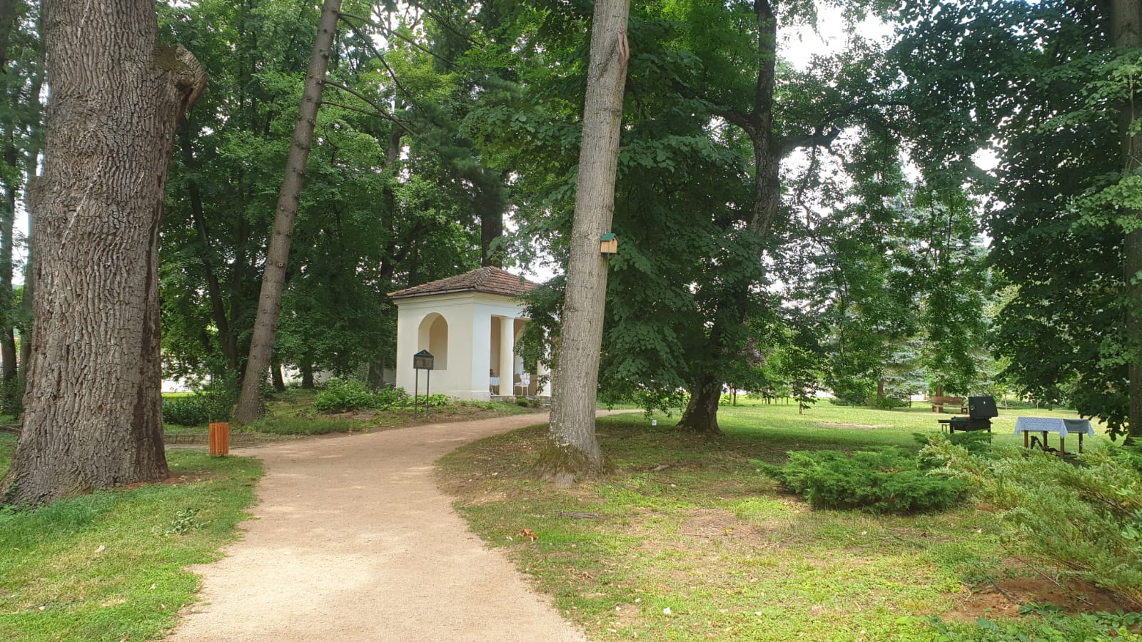 WhatsApp Image 2021-07-24 at 09.34.24(1)