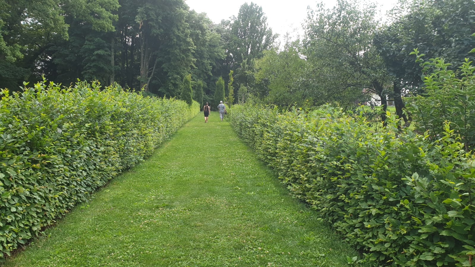 WhatsApp Image 2021-07-24 at 09.34.23(4)