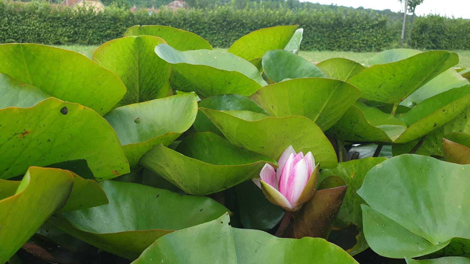 WhatsApp Image 2021-07-24 at 09.34.23(1)