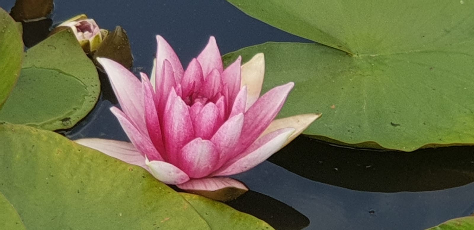 WhatsApp Image 2021-07-24 at 09.34.23