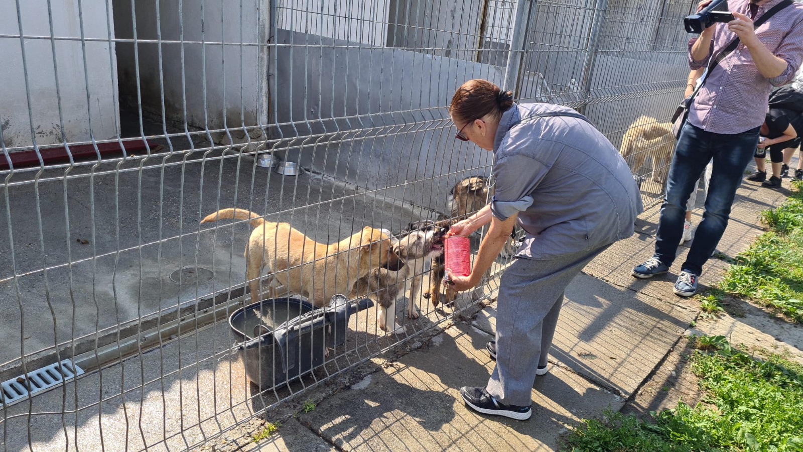 WhatsApp Image 2021-07-25 at 16.14.16(2)