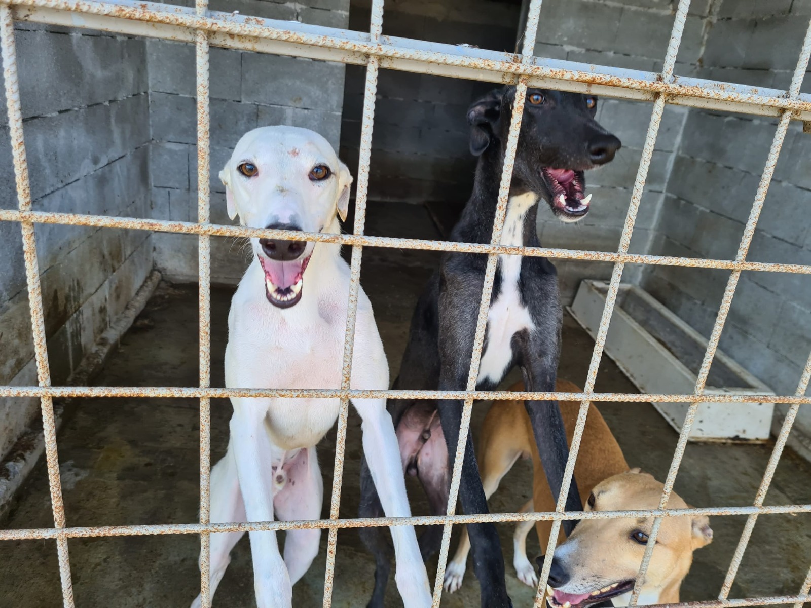 WhatsApp Image 2021-07-25 at 16.14.15(6)