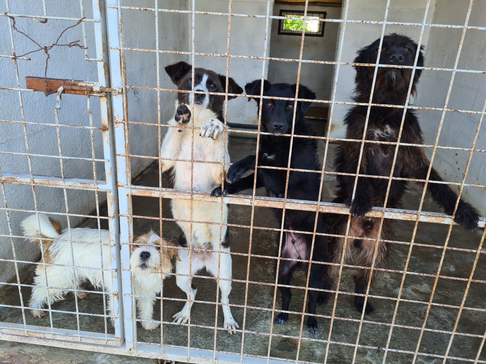 WhatsApp Image 2021-07-25 at 16.14.15(4)