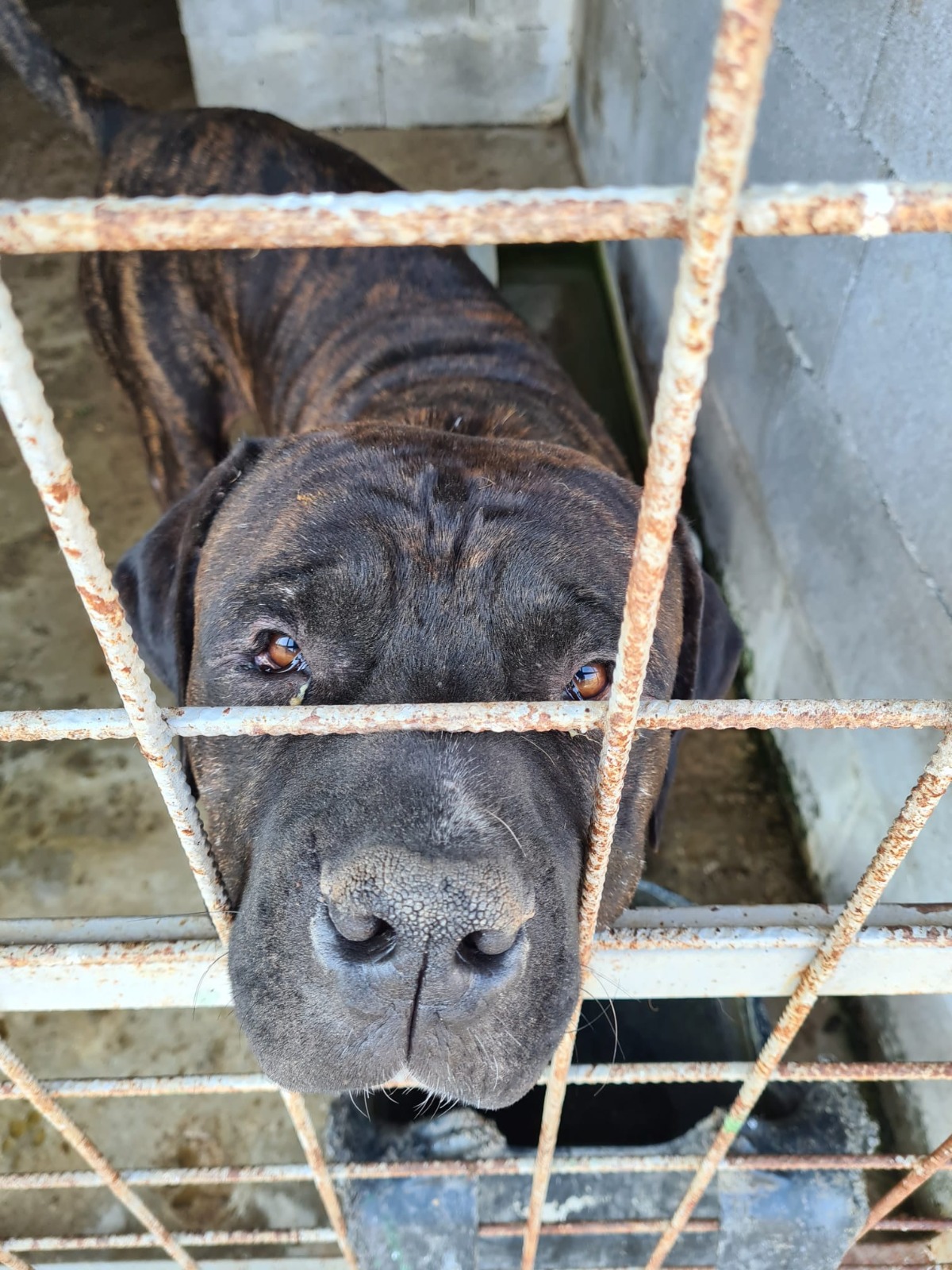 WhatsApp Image 2021-07-25 at 16.14.15(5)