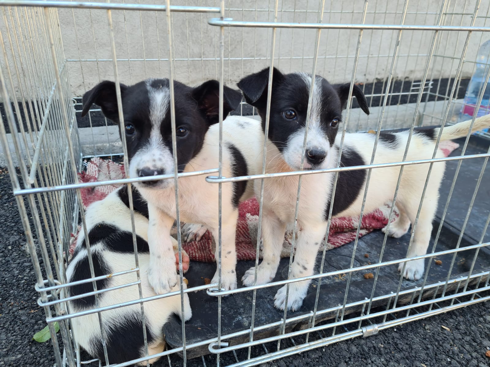 WhatsApp Image 2021-07-25 at 16.14.15(2)